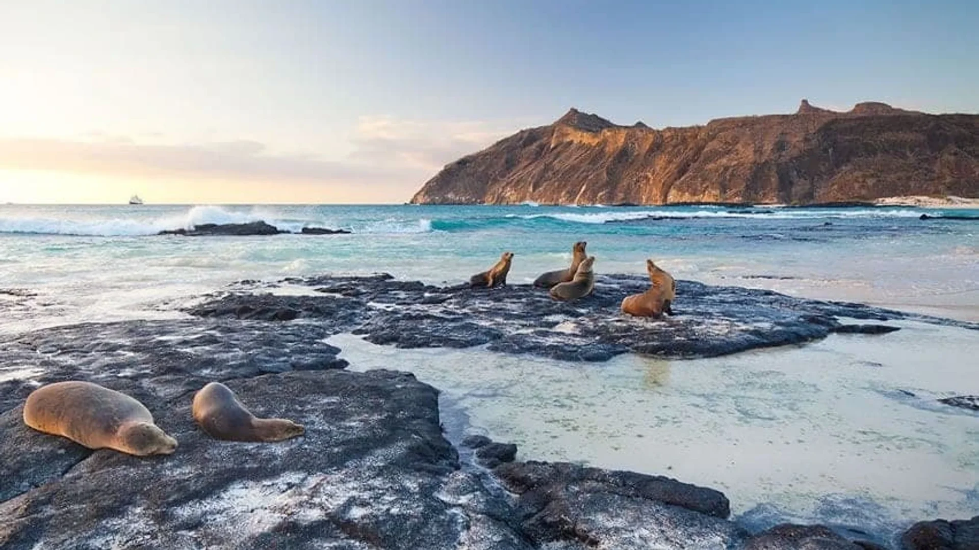 Puerto Ayora, Galápagos 5