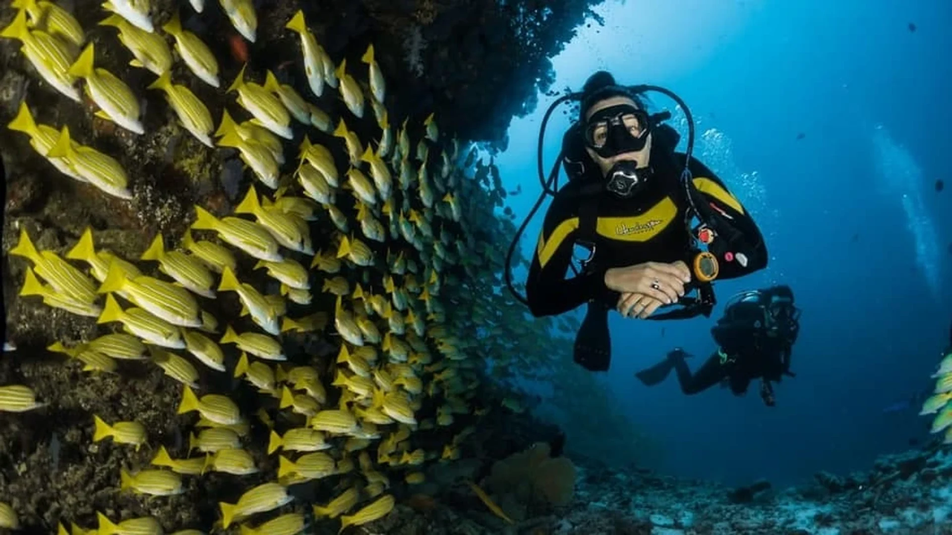 Master Journey: Mainland Ecuador To Galapagos