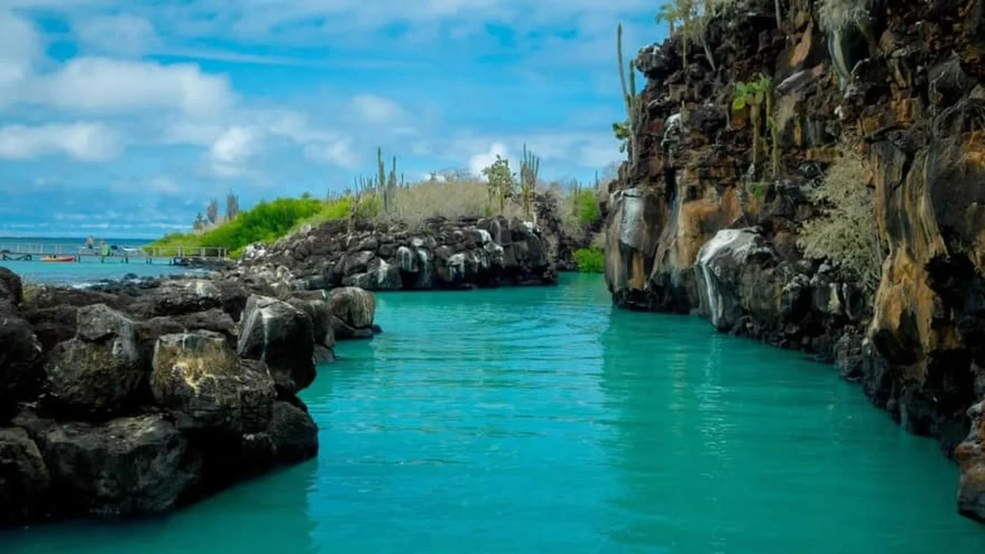 Galapagos Explorer: 7-Day Island Expedition (With Quito Transfers) - Thumbnail 3