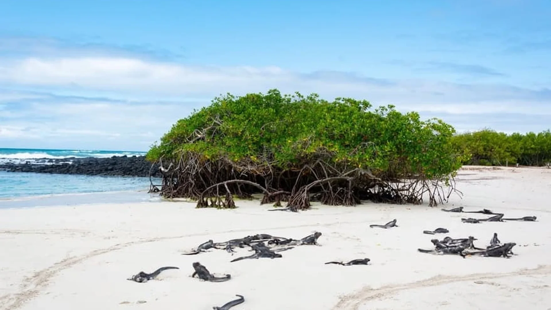 Puerto Ayora, Galápagos 1