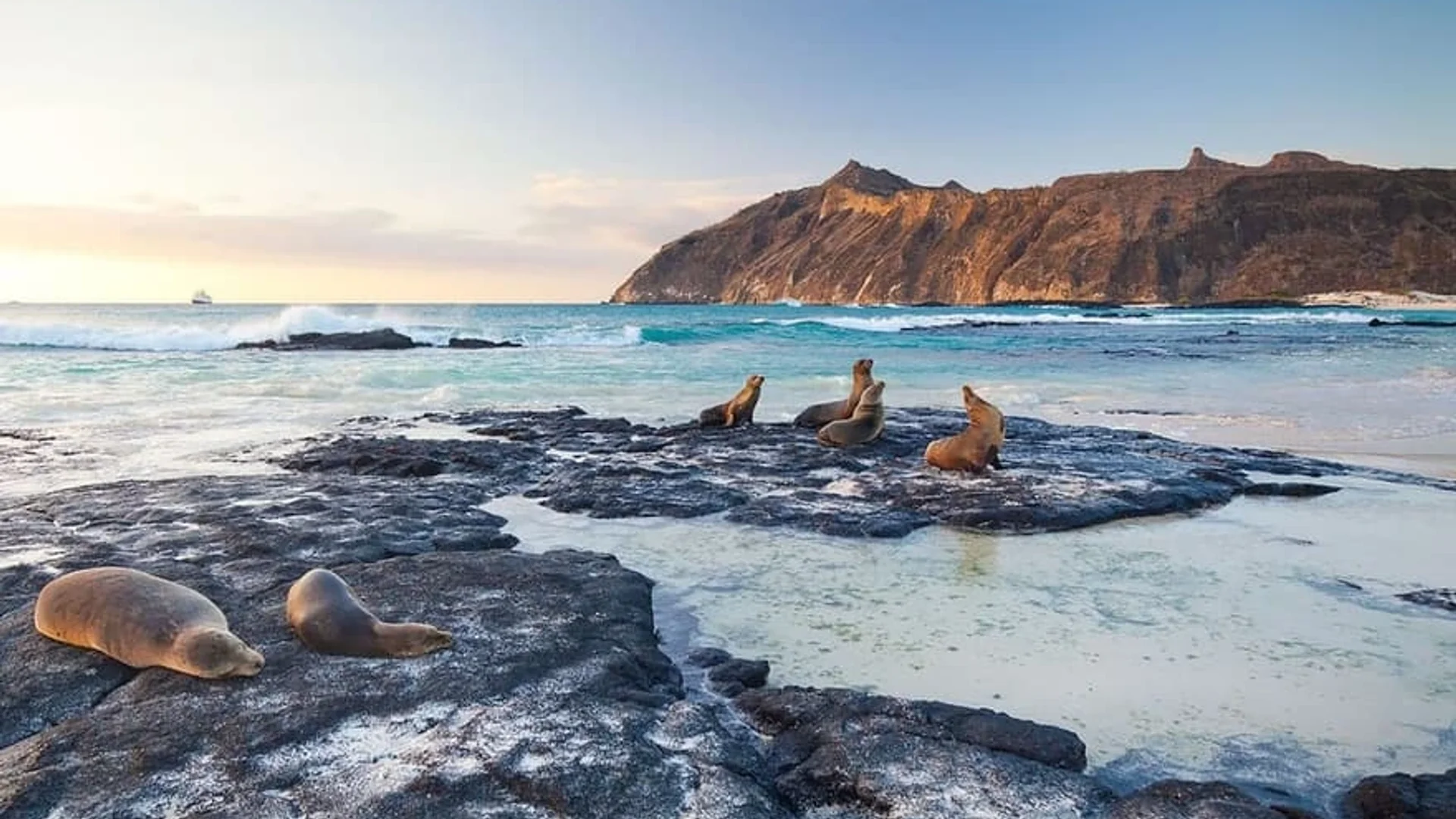 Isabela Island 1