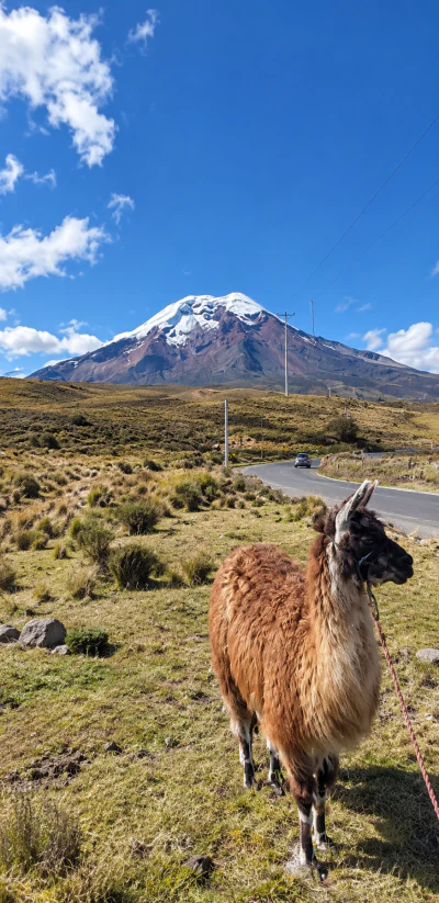 Chimborazo - Andes