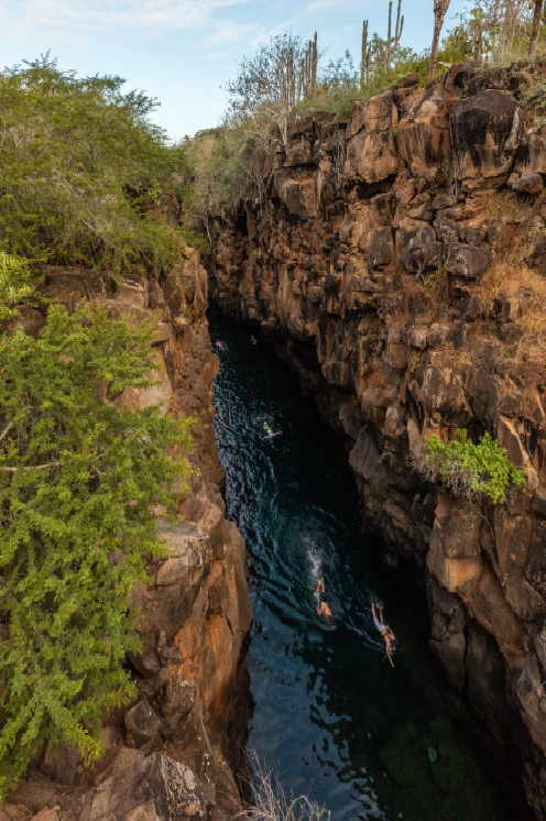 Galapagos - Puerto Ayora